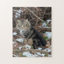 Suche nach maine coon puzzle Katze