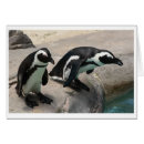 Suche nach pinguin fotokarten Pinguine