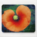 Suche nach poppy mousepads Orange