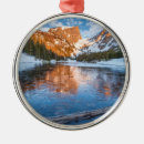 Suche nach eisig ornamente Landschaft