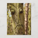 Suche nach waldpostkarte Natur