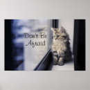 Suche nach kätzchen poster Babytiere