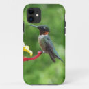 Suche nach kolibri iphone hüllen Fotografie