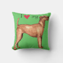 Suche nach irisch kissen Herz