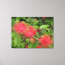 Suche nach seide leinwandbilder Blüten