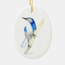 Suche nach scrubs ornamente Blau