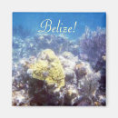 Suche nach belize magnete Ozean