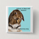 Suche nach kaninchen buttons Niedlich