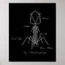 Suche nach mikrobiologie poster Lehrer