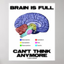 Suche nach lustige gehirn poster Anatomie