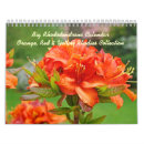 Suche nach rote blumen kalender Botanisch
