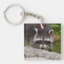 Suche nach raccoon schlüsselanhänger Lustiges rennrad