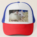 Suche nach ratte kappen Niedlich