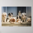 Suche nach niedliche welpen poster Zitat