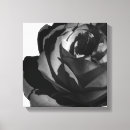 Suche nach weiße rosen leinwandbilder Blumig