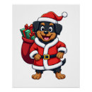 Suche nach pomeranian poster Welpe