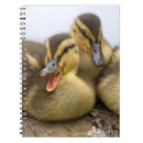 Suche nach entlein kleine notizbücher Vögel