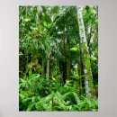 Suche nach tropischer regenwald poster Dschungel