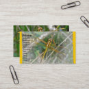Suche nach dragonfly visitenkarten Blau