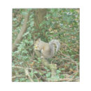 Suche nach eichhörnchen notizblock Tiere