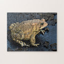 Suche nach toad puzzle Wildtiere