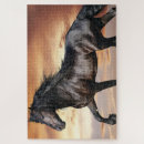 Suche nach schwarzes pferd puzzle Tier