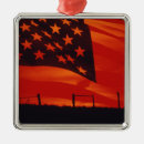 Suche nach digital ornamente Rot