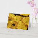Suche nach heller hintergrund karten Blume