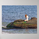 Suche nach kleine meerjungfrau poster Strand