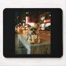 Suche nach lustige tiere mousepads Eiskaffee