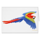 Suche nach scharlachrot macaw Macaws