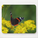 Suche nach rote schmetterlinge mousepads Insekt