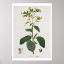 Suche nach vegen poster Fl