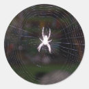 Suche nach spiders aufkleber Web