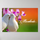 Suche nach lovebirds poster Liebe