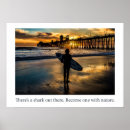 Suche nach haien poster Surfen