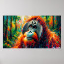 Suche nach orang utan poster Pygmaeus