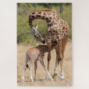 Suche nach kenia puzzle Giraffe