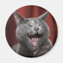 Suche nach lustiger katzenmagnet Für katzenliebhaber