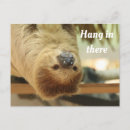 Suche nach aufhängen postkarten Faultier