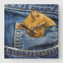 Suche nach lustige katzen wanduhren Niedlich