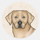 Suche nach gelbes labrador retriever aufkleber Niedlich