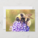 Suche nach hummel postkarten Blume