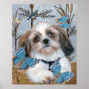 Suche nach kleiner blauer hund poster Hunde