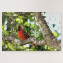 Suche nach kardinal puzzle Natur