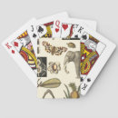 Suche nach tier spielkarten Natur