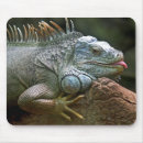 Suche nach leguan mousepads Tierwelt