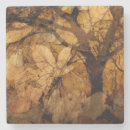 Suche nach texturen untersetzer Braun