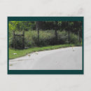 Suche nach crossing postkarten Natur