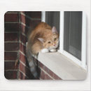 Suche nach orange katze mousepads Miezekatze